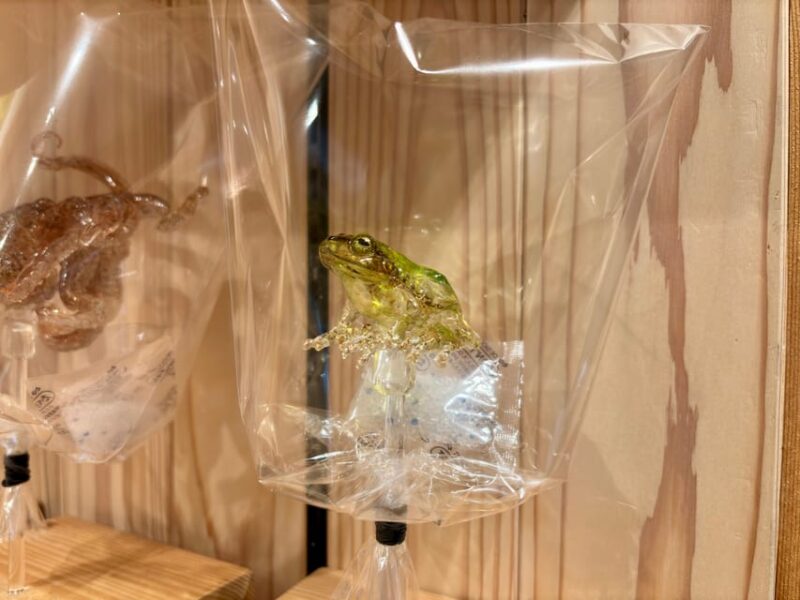 Sensoji Temple Visit and Traditional Amezaiku Candy Crafting - Key Points