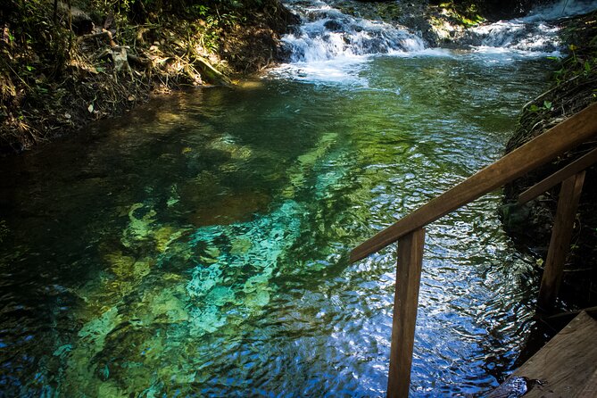 Sensoria Healing Thermals Paradise in Rincon De La Vieja - Key Points
