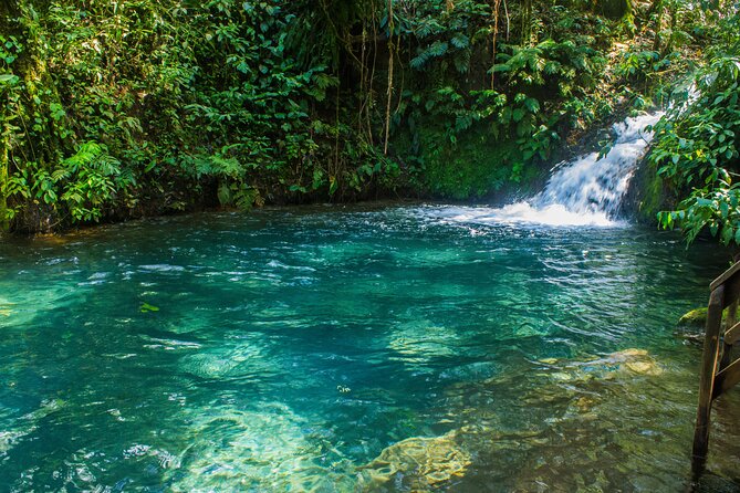Sensoria Healing Thermals Paradise in Rincon De La Vieja - Group Size and Tour Guide