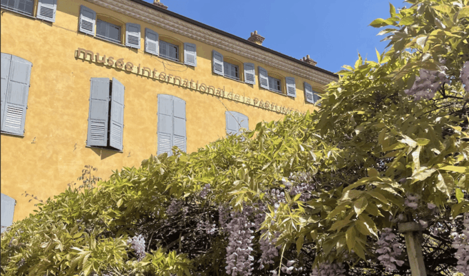 Sensory Guided Tour of Grasse Inter. Capital of Perfume - Walking Tour and Hidden Treasures