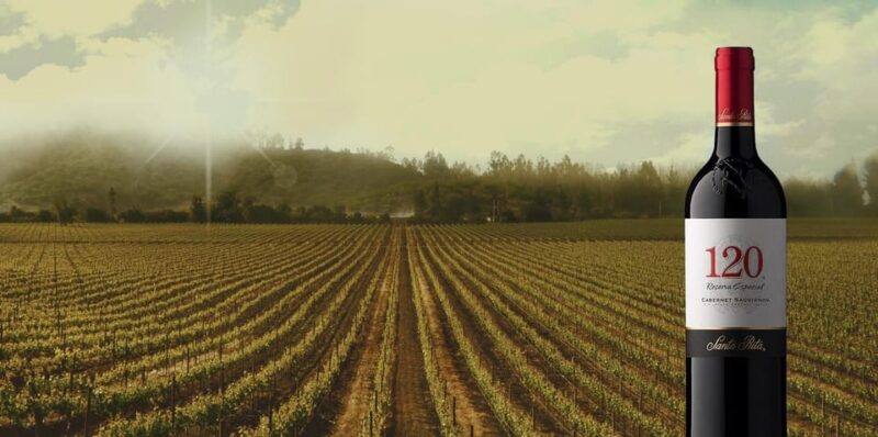 Sensory Journey: Santa Rita Vineyards Tour - Experience Highlights