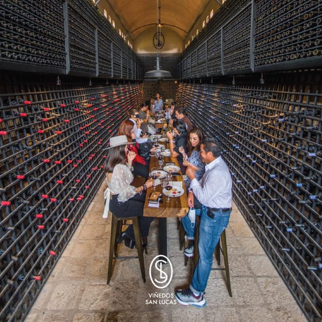 Sensory Wine Tasting Experience at Viñedos San Lucas - Key Points
