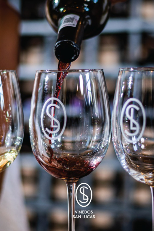 Sensory Wine Tasting Experience at Viñedos San Lucas - Tasting Details