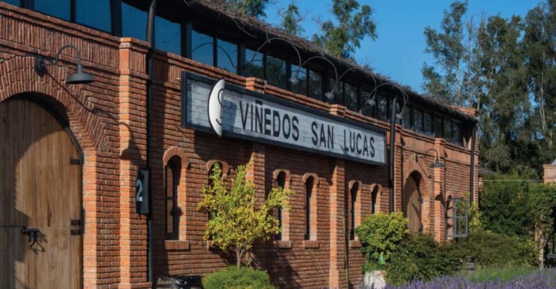 Sensory Wine Tasting Experience at Viñedos San Lucas - Accessibility and Restrictions