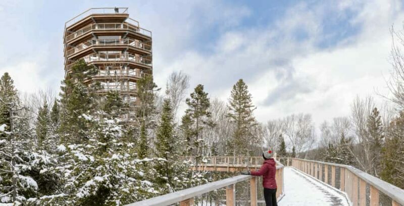 Sentier des cimes Laurentides: Treetop Observatory & Walk - An In-Depth Look at the Treetop Experience