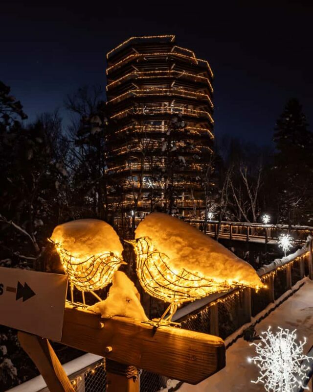 Sentier des cimes Laurentides: Treetop Observatory & Walk - The Sum Up