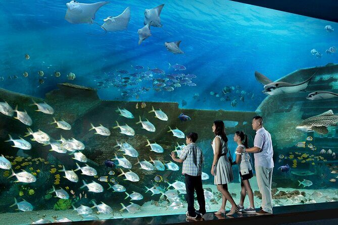 Sentosa Luxe: A Premium Half-Day Island Discovery Private Tour - Key Points