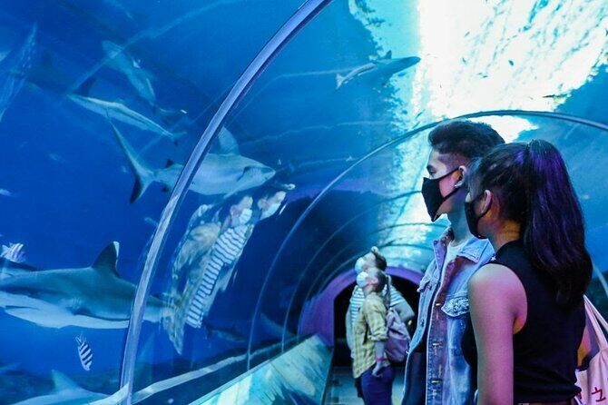 Sentosa Luxe: A Premium Half-Day Island Discovery Private Tour - An In-Depth Look at the Tour