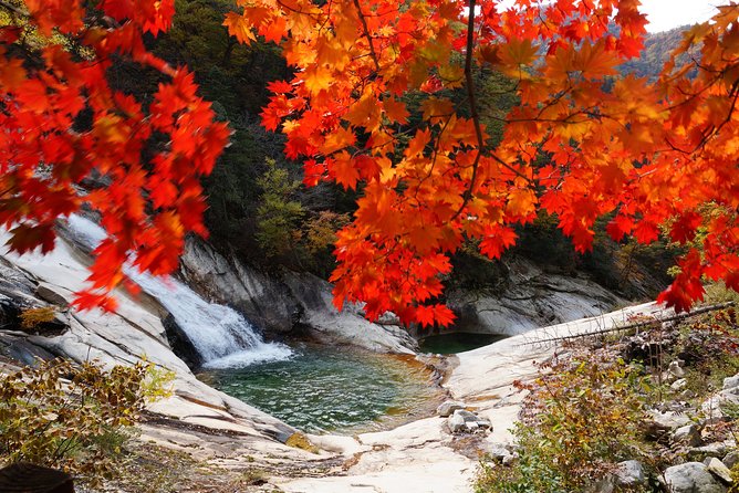 Seoraksan Daecheongbong(1,708m) Peak Hiking [1-Day Tour From Seoul] - Requirements and Recommendations