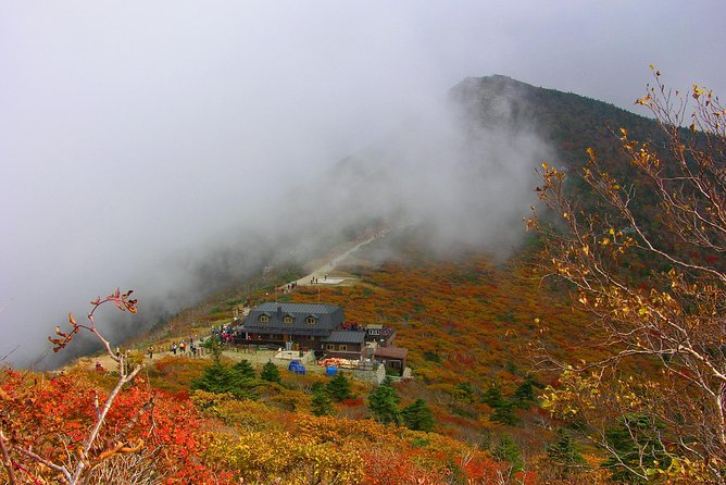 Seoraksan Daecheongbong(1,708m) Peak Hiking [1-Day Tour From Seoul] - Transportation and Logistics