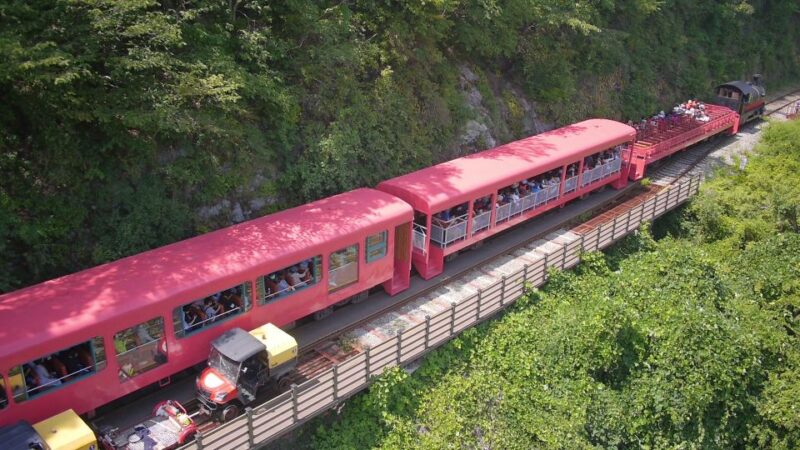 Seoul: Alpaca Land, Nami Tour (Optional Gangchon Railbike) - Railbike Surcharge