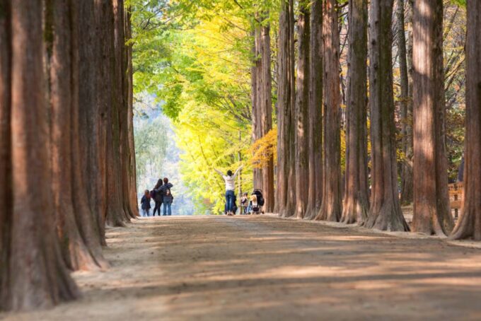 Seoul: Alpaca Land, Nami Tour (Optional Gangchon Railbike) - Frequently Asked Questions