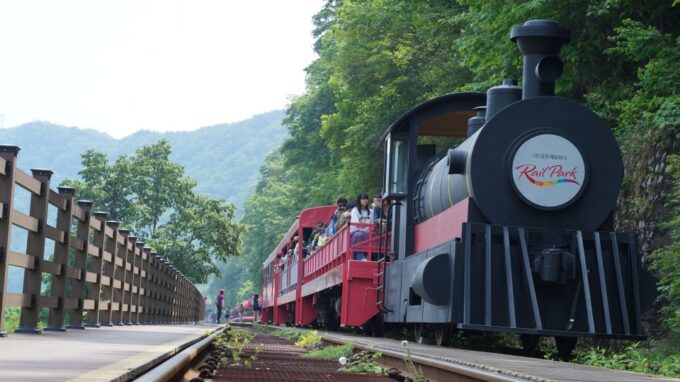 Seoul: Alpaca Land, Nami Tour (Optional Gangchon Railbike) - Recap