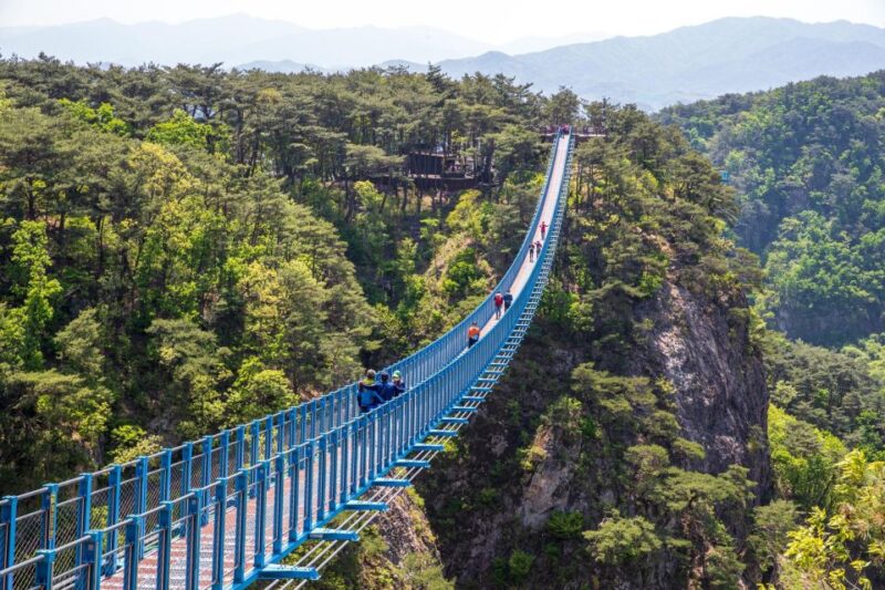 Seoul: Alpaca World, Luge Ride and Suspension Bridge - Alpaca World Experience