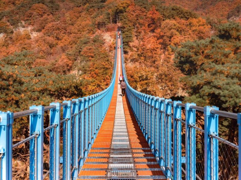 Seoul: Alpaca World, Luge Ride and Suspension Bridge - Inclusions and Restrictions