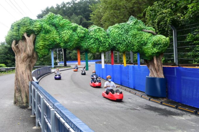 Seoul: Alpaca World, Luge Ride and Suspension Bridge - Frequently Asked Questions