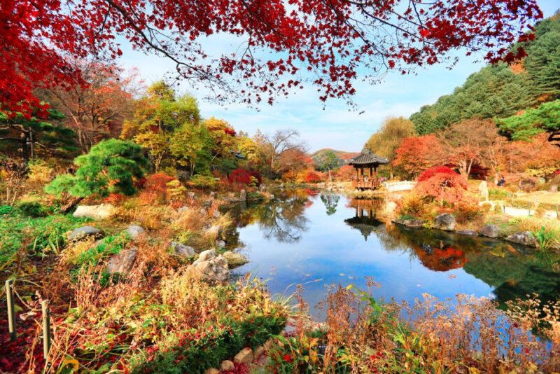 Seoul: Alpaca World & Nami Island (Optional Korean Garden) - Inclusion Details