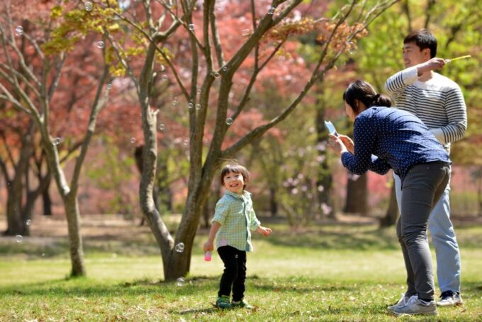 Seoul: Alpaca World & Nami Island (Optional Korean Garden) - Booking and Availability