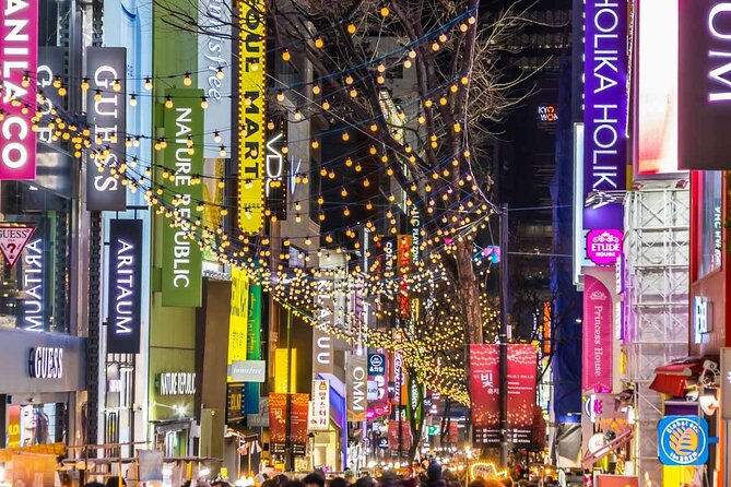Seoul City Private Tour - Inclusions