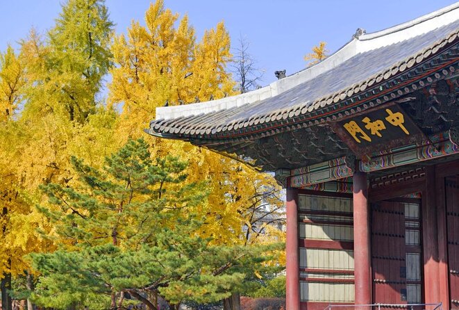 Seoul : Deoksugung Palace Half Day Walking Tour - Important Information