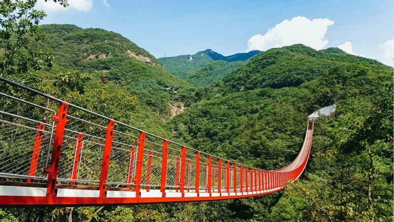Seoul: DMZ, 3rd Tunnel and Optional Suspension Bridge Tour - Seoul: DMZ, 3rd Tunnel, and Optional Suspension Bridge Tour — A Detailed Look