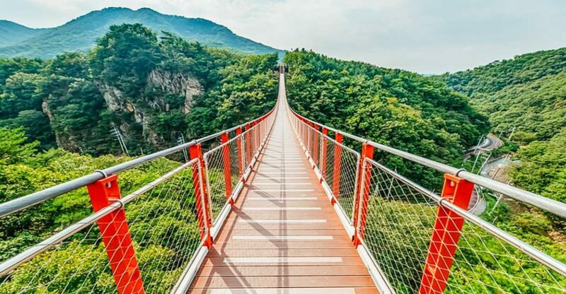 Seoul: DMZ, 3rd Tunnel and Optional Suspension Bridge Tour - What to Expect on the Tour