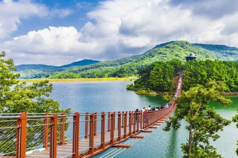 Seoul: DMZ, 3rd Tunnel and Optional Suspension Bridge Tour - In The Sum Up