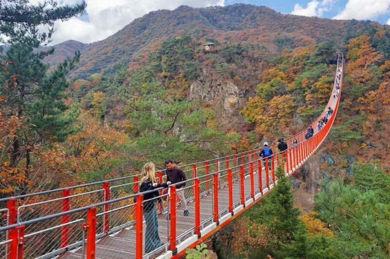 Seoul: DMZ Guided Tour with Suspension Bridge and Gondola - What to Expect on the DMZ Tour