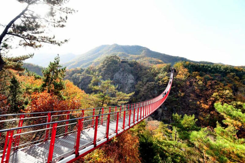 Seoul: DMZ Tour with Optional Suspension Bridge - Key Points