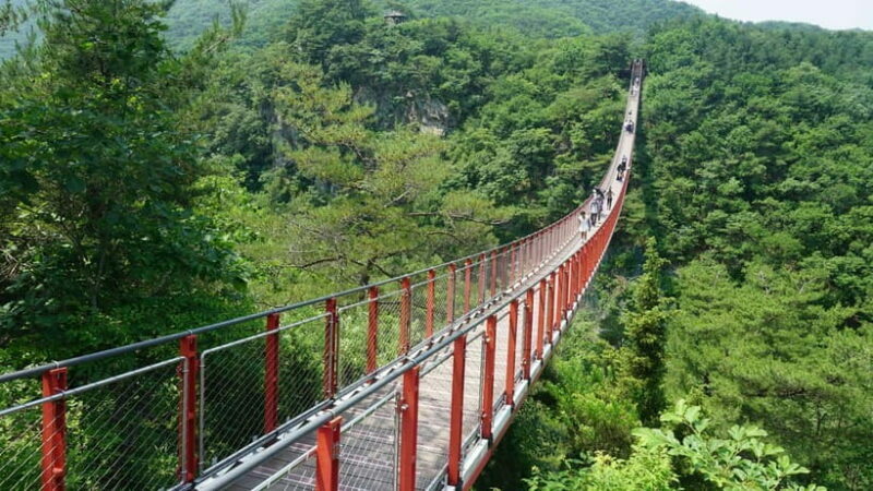Seoul: DMZ Tour with Optional Suspension Bridge - Exploring the Heart of Korea’s Divide