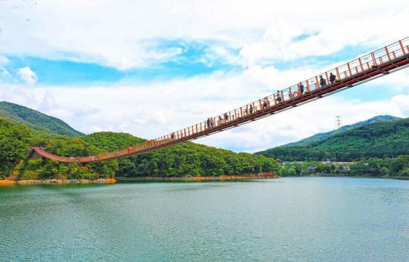 Seoul: DMZ with Optional Suspension Bridge, North Korea View - Who Is This Tour Best For?