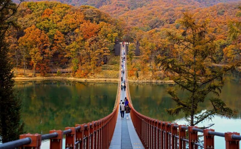Seoul: DMZ with Optional Suspension Bridge, North Korea View - Transportation, Timing, and Group Dynamics