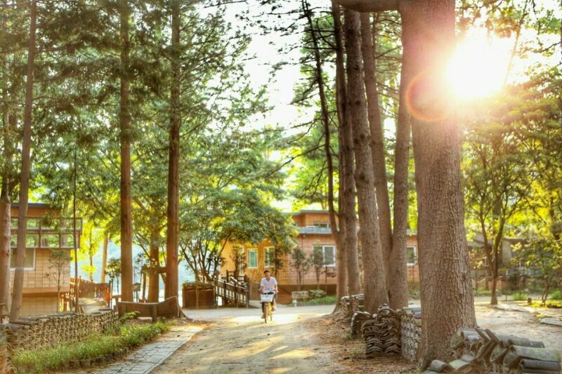 Seoul: Eobi Valley(Winter), Strawberry, Nami Island and Bike - An In-Depth Look at the Tour Experience