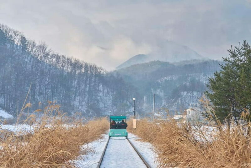 Seoul: Eobi Valley(Winter), Strawberry, Nami Island and Bike - Who Should Book This Tour?