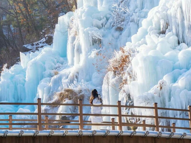Seoul: Eobi Valley(Winter), Strawberry, Nami Island and Bike - The Sum Up