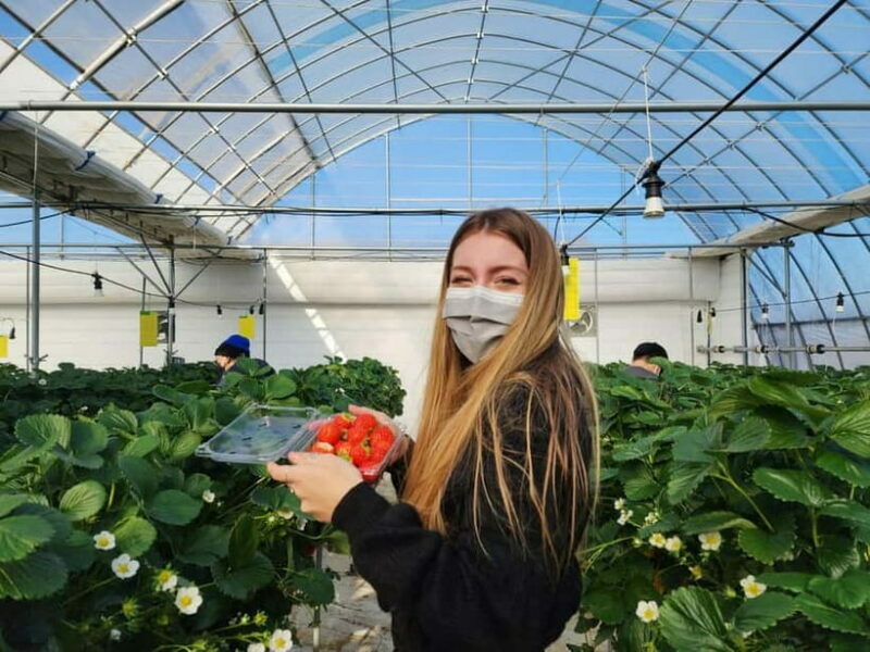 Seoul: Eobi Valley(Winter), Strawberry, Nami Island and Bike - FAQs