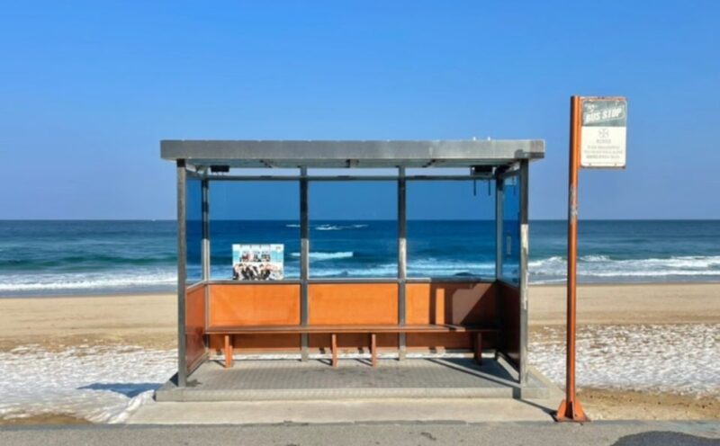 Seoul: Gangneung Delights From BTS Bus Stop to Anmok Beach - Gangneung Coffee Street at Anmok Beach