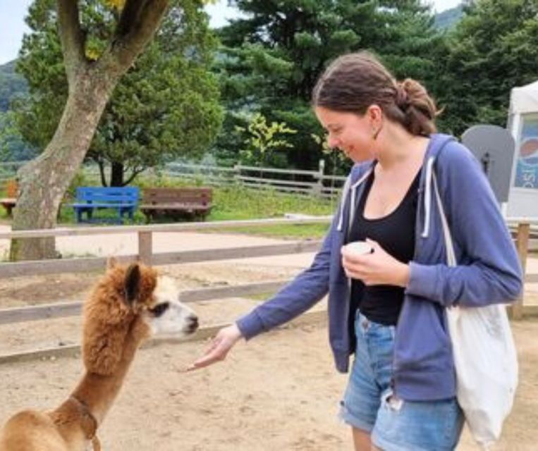 Seoul: Gangwon-Do Day Trip With Alpaca World & Nami Island - Included and Excluded Expenses