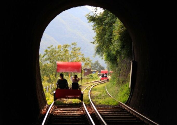 Seoul: Gangwon-Do Day Trip With Alpaca World & Nami Island - Booking Options and Discounts