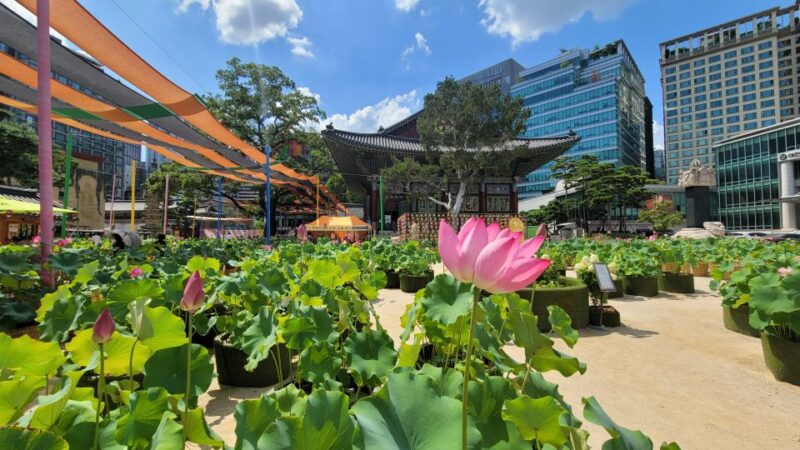Seoul: Gyeongbokgung Palace, Jogyesa Temple, and the Blue House (Cheongwadae) - Tour Duration and Inclusions