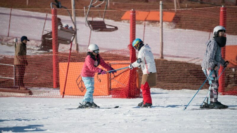 Seoul: Jisan Forest Winter Ski Day Tour with Basic Lesson - An Authentic Winter Escape from Seoul