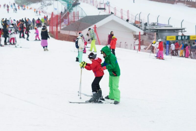 Seoul: Jisan Forest Winter Ski Day Tour with Basic Lesson - Gear, Equipment, and Options