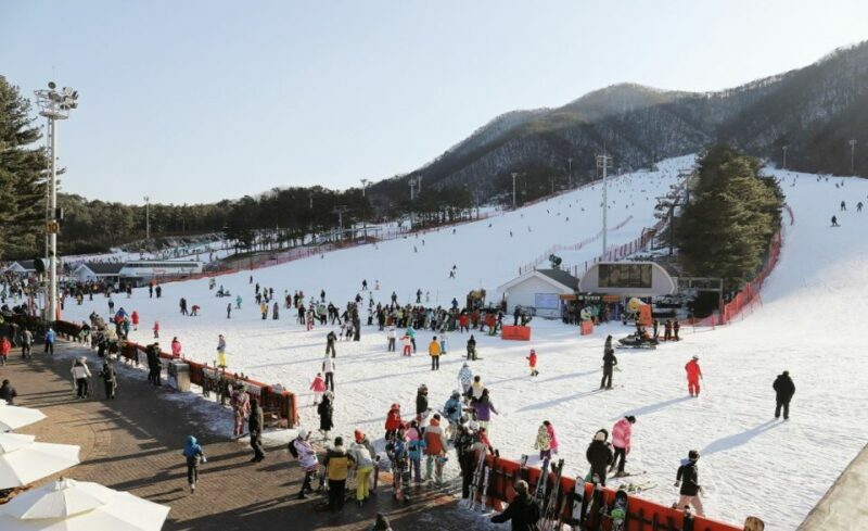 Seoul: Jisan Forest Winter Ski Day Tour with Basic Lesson - Transport and Logistics