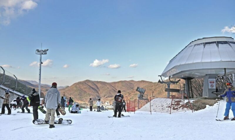 Seoul: Jisan Forest Winter Ski Day Tour with Basic Lesson - Who Is This Tour Best For?