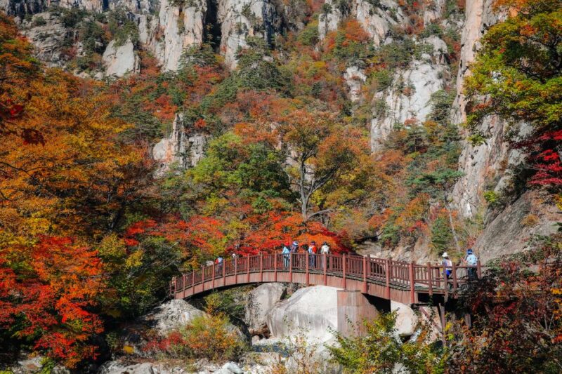 Seoul: Mt Seorak Hike With Naksansa Temple or Nami Island - Hiking at Mount Seorak