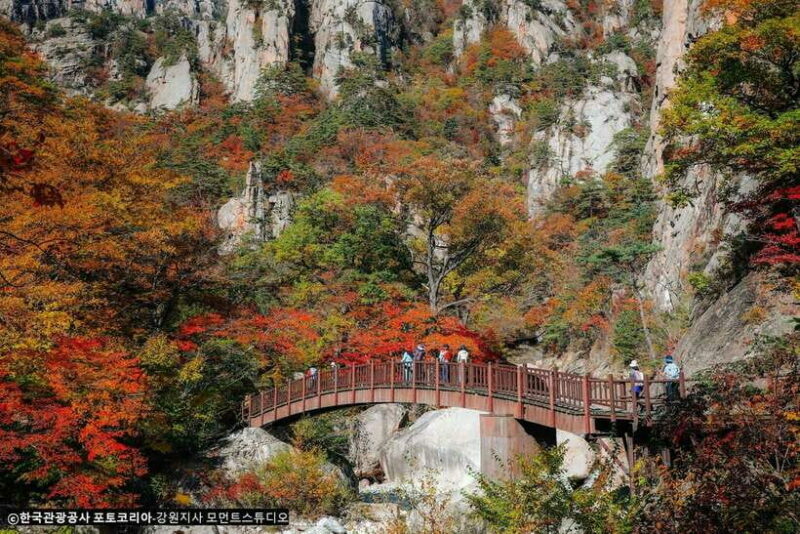 Seoul: Mt.Seorak, Nami Island, No Shopping(+RailBike Option) - Nami Island: A Romantic Getaway