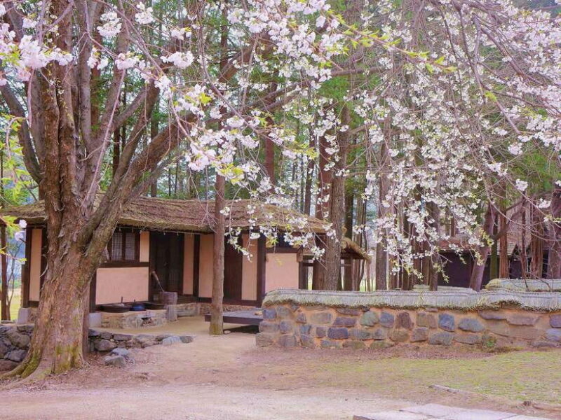 Seoul: Mt.Seorak, Nami Island, No Shopping(+RailBike Option) - Transportation and Logistics