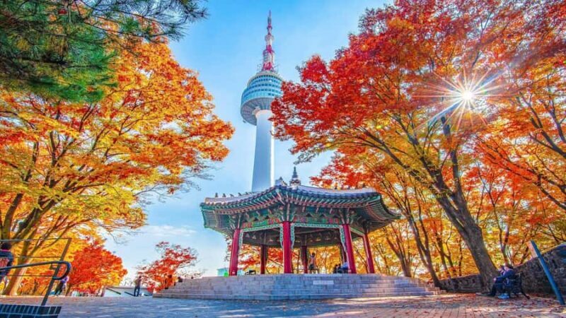 Seoul: N Seoul Tower Observatory & Cable Car Combo Ticket - Key Points