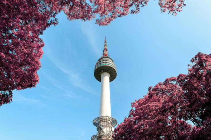 Seoul: N Seoul Tower Observatory & Cable Car Combo Ticket - Who Will Love This Tour?