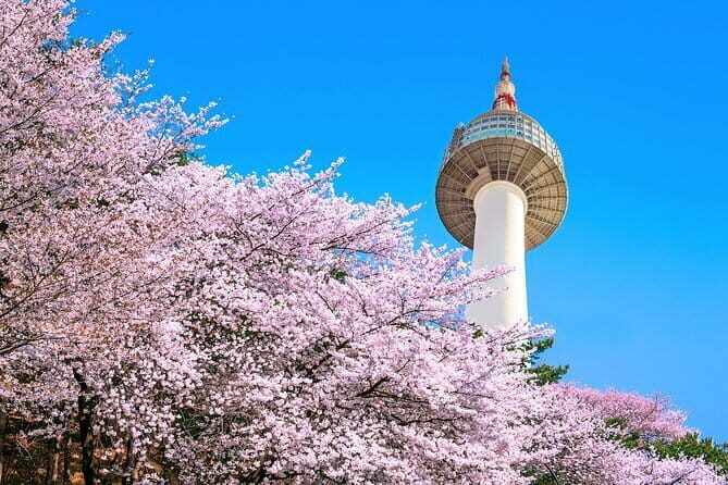 Seoul: N Tower Observatory Ticket - Who Will Love This Experience?
